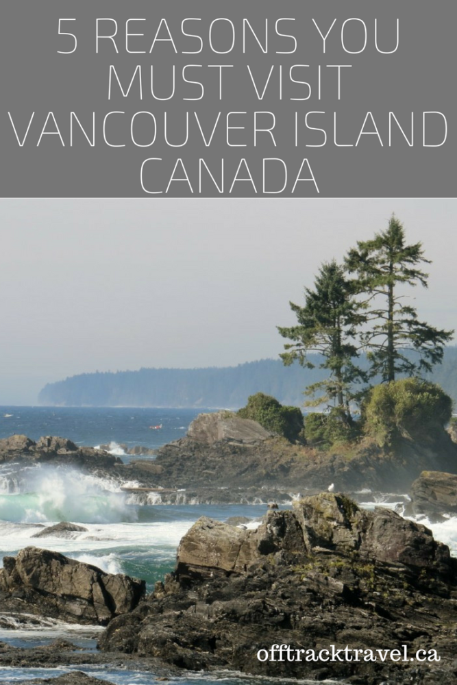 5 Reasons You Must Visit Vancouver Island, Canada - Wilderness, wildlife and outdoor adventures all wrapped up in one stunning place! Why Vancouver Island should be on your 'must visit' list. offtracktravel.ca