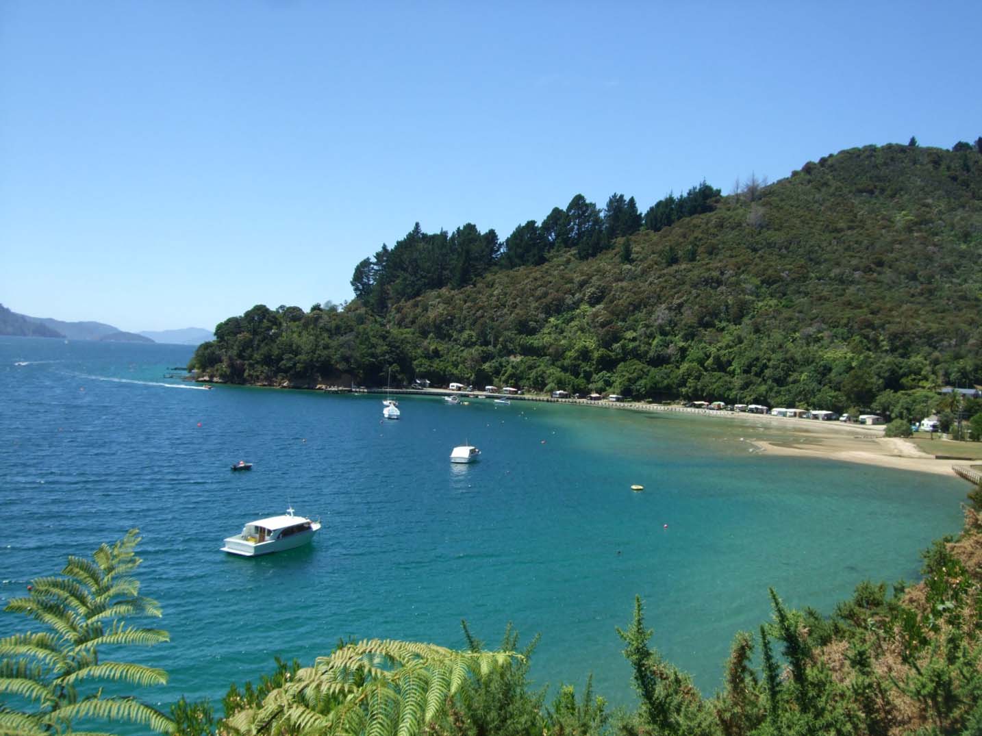 Complete Guide to a Working Holiday in New Zealand - Marlborough Sounds views