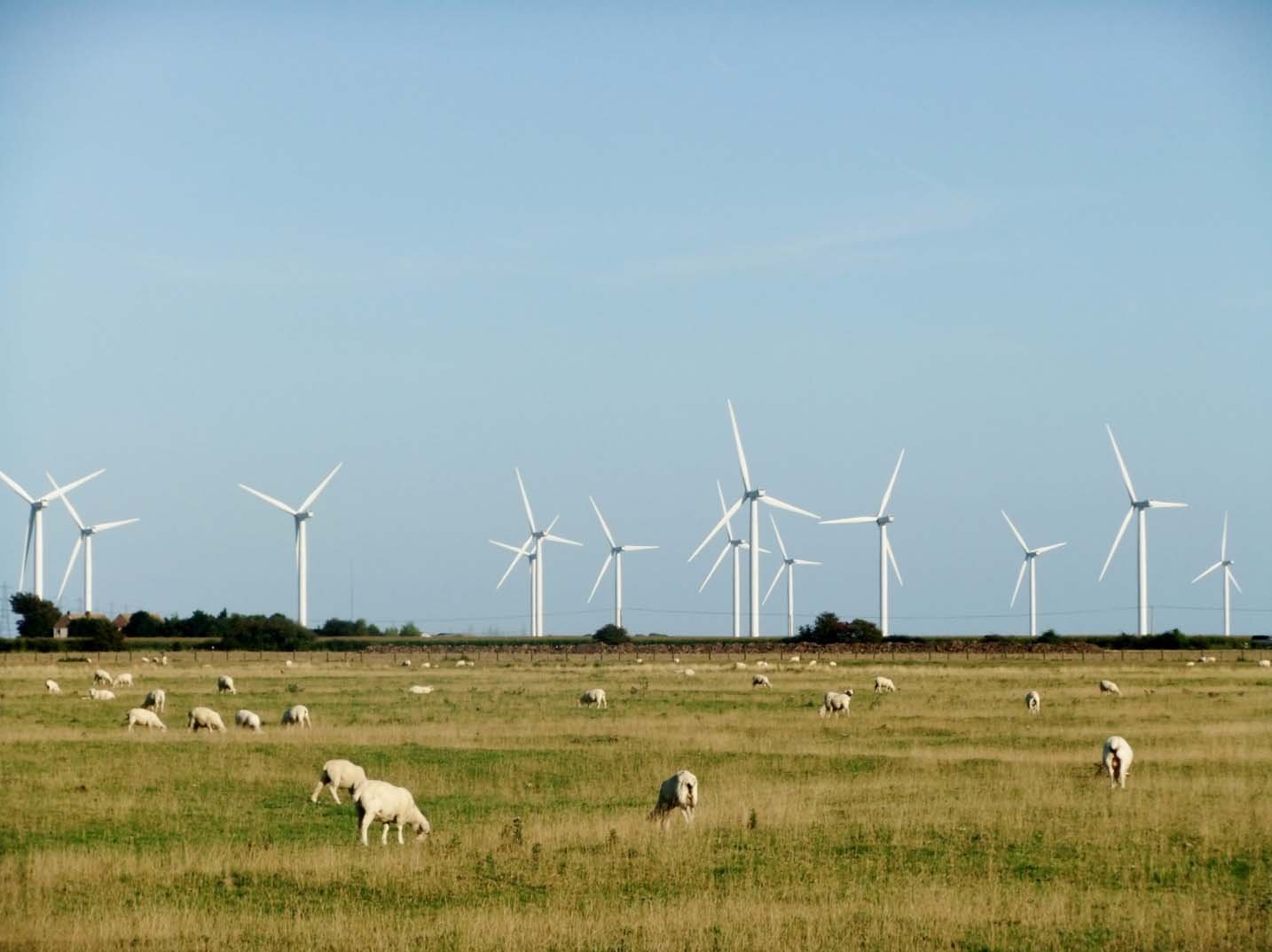 farma wiatrowa w pobliżu Rye East Sussex