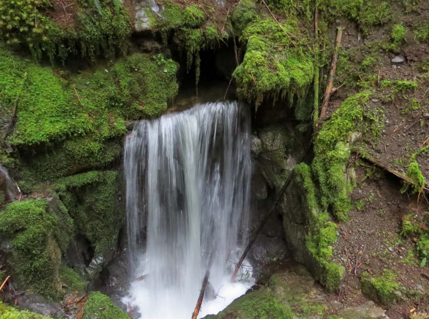 A waterfall is set into a mossy canyon