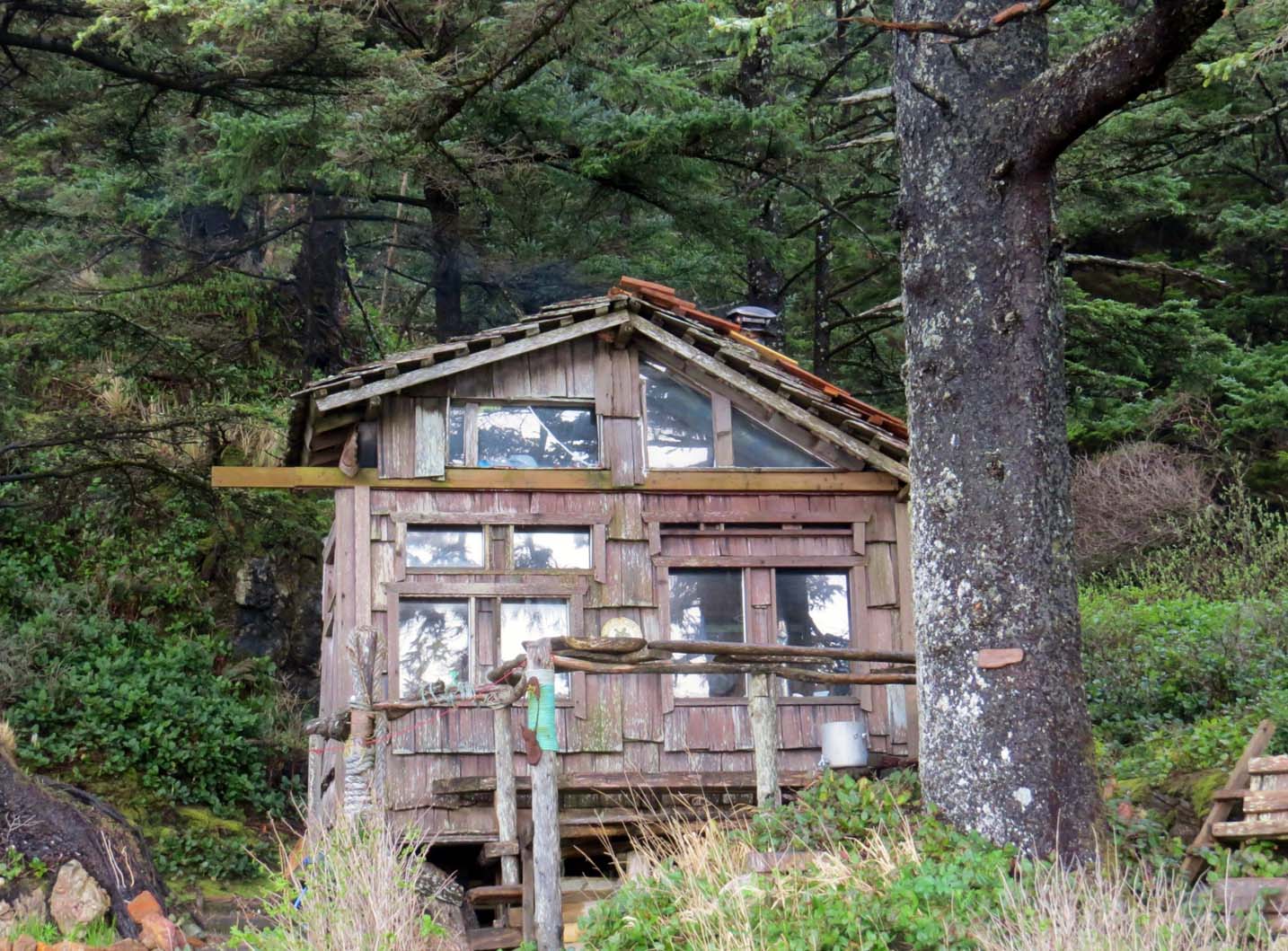 Magic cabin Palmerston Bay