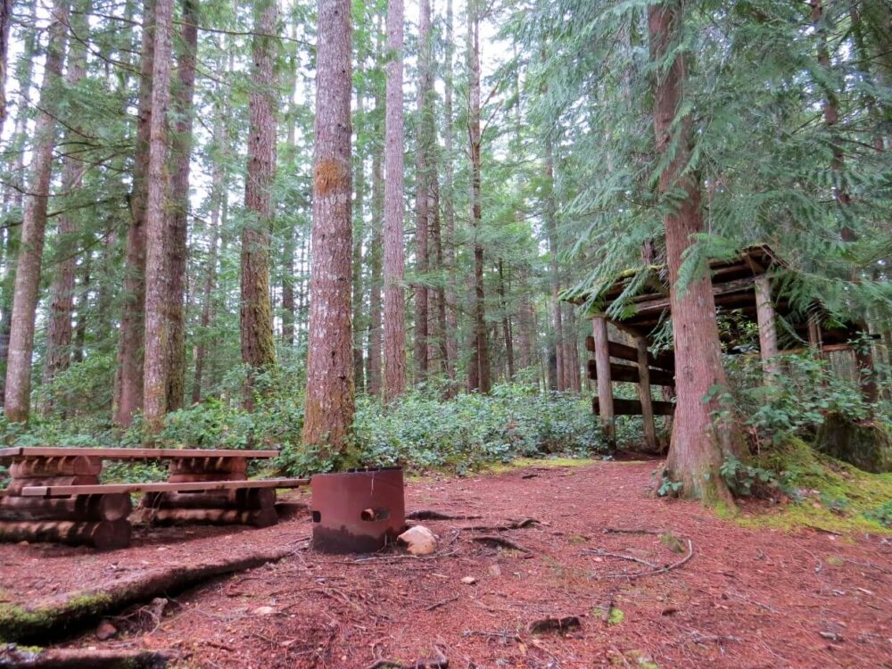 A fire pit and picnic table sit under a forest canopy with a basic firewood shelter behind