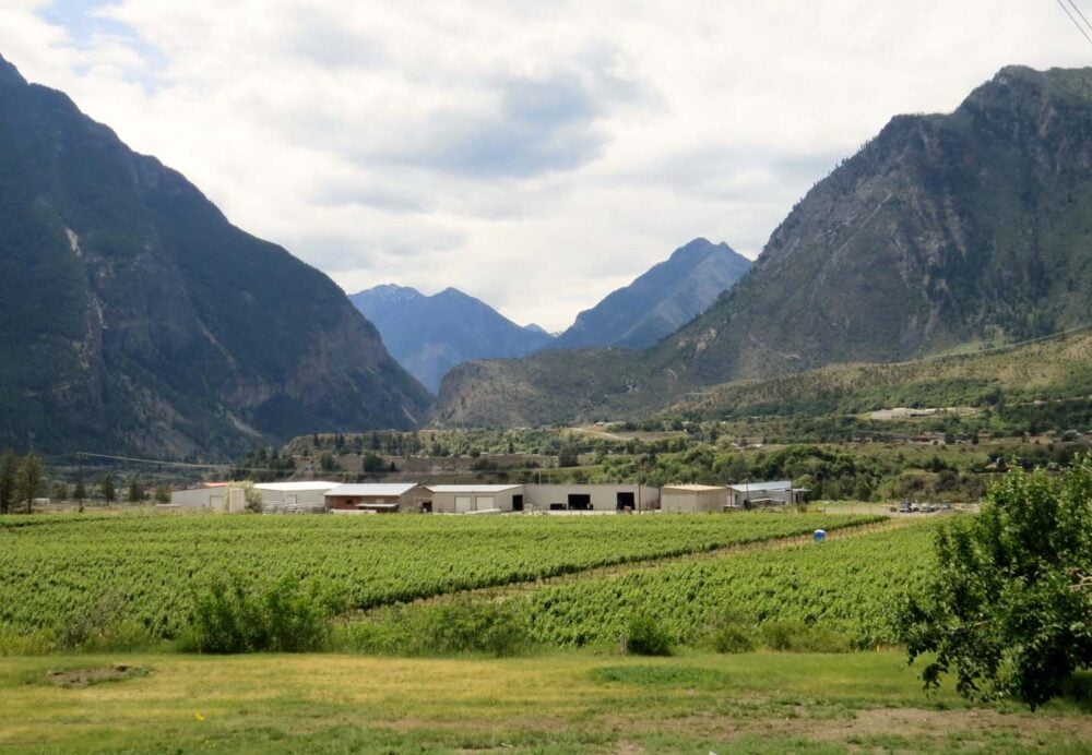 Winery Lillooet rugged mountains