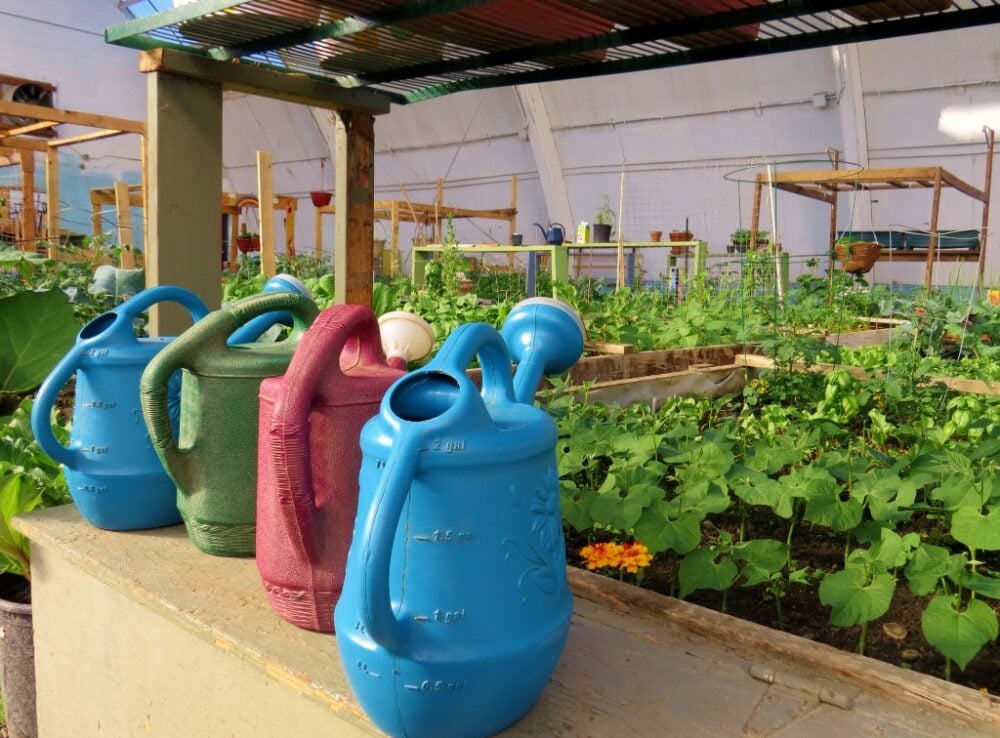 Colourful watering cans in front of raised gardens