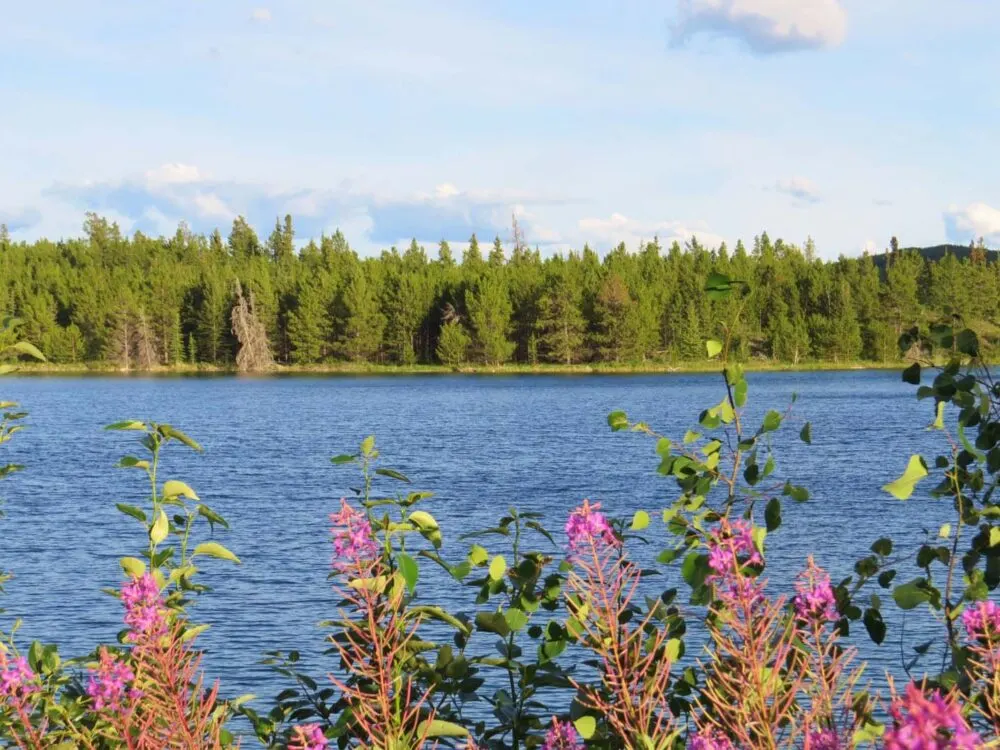 Snafu Lake Yukon