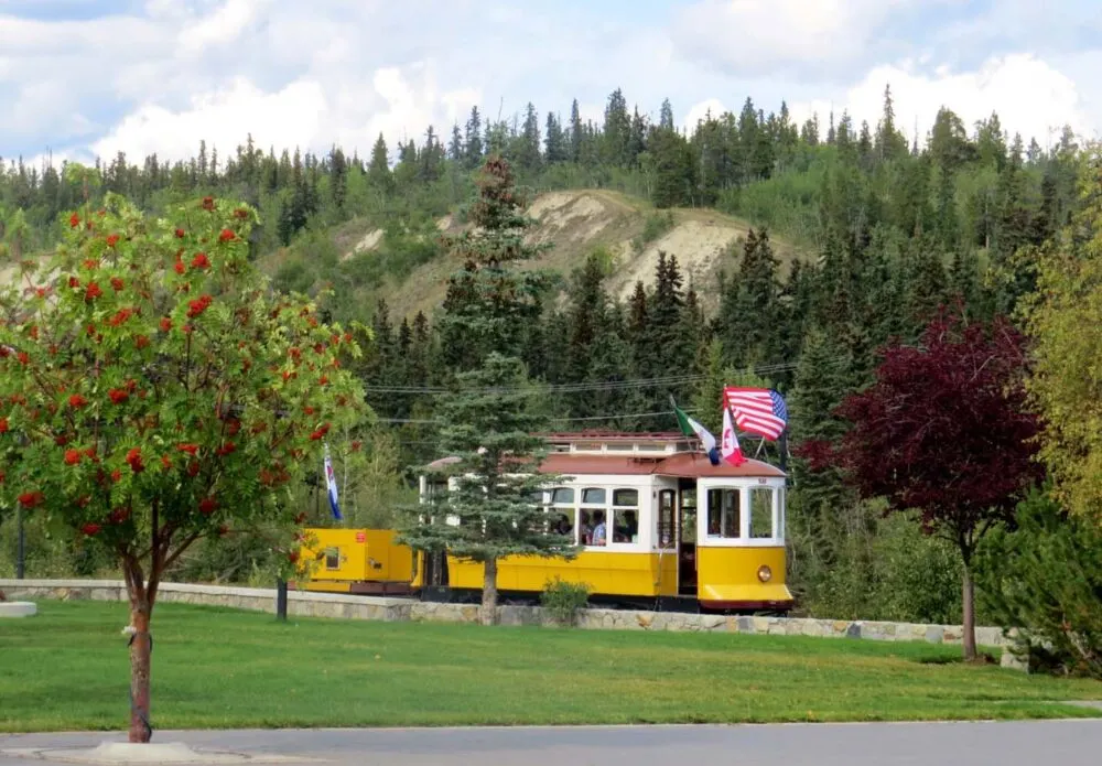 Whitehorse Tram