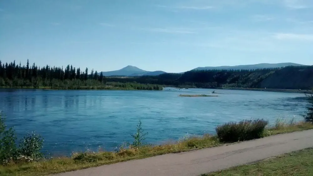 Yukon River Whitehorse