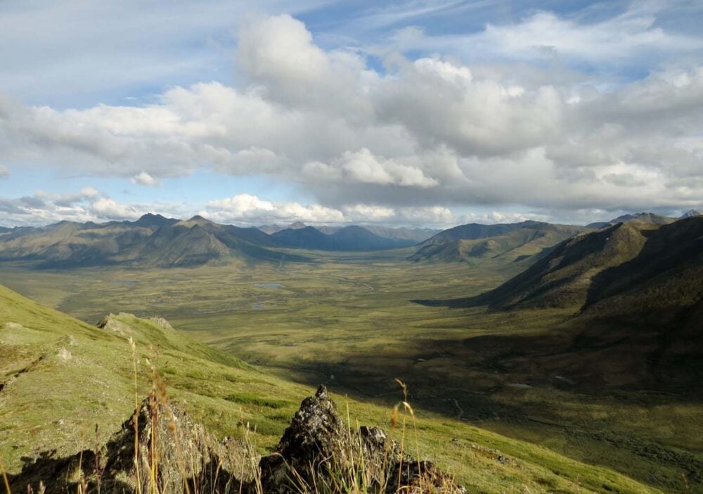 Rake Mountain views Tombstone Territorial Park