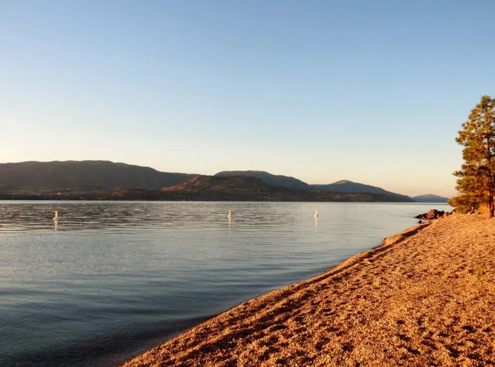 Okanagan Lake Kelowna golden hour