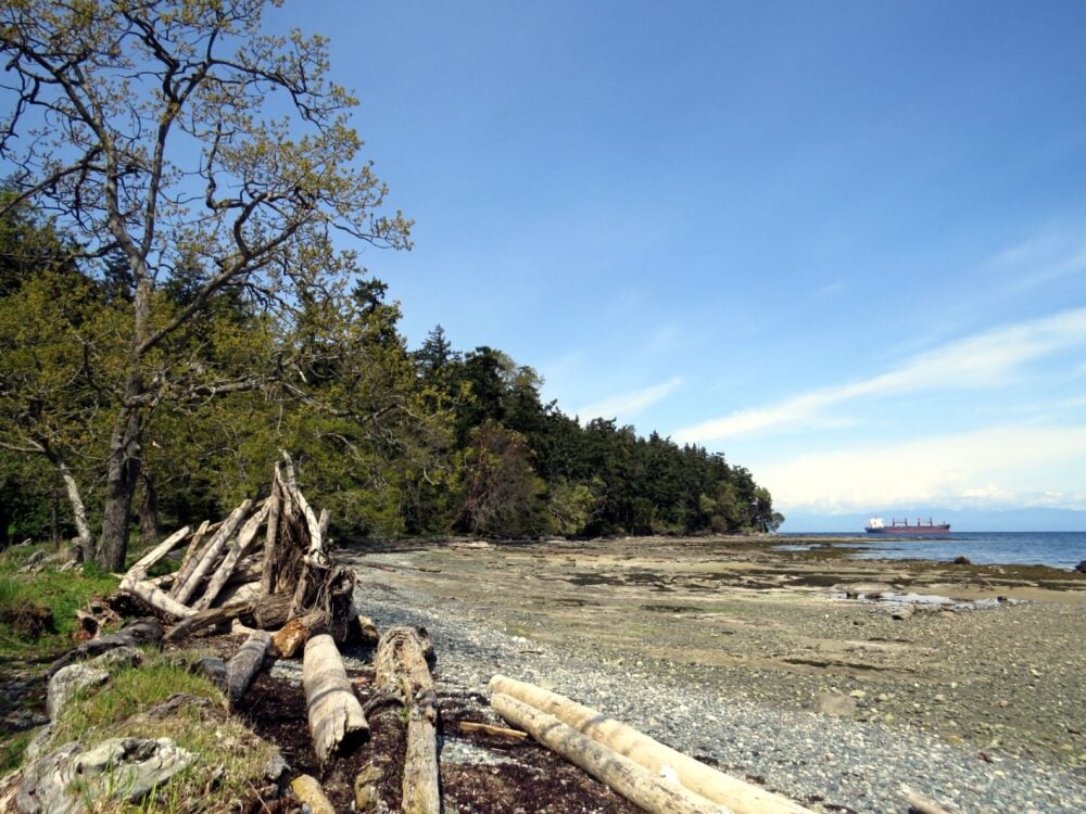 Driftwood lined rocky beach on Newcastle Island