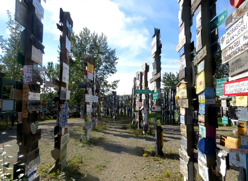 A path surrounded by road signs nailed on high posts - the Signpost Forest