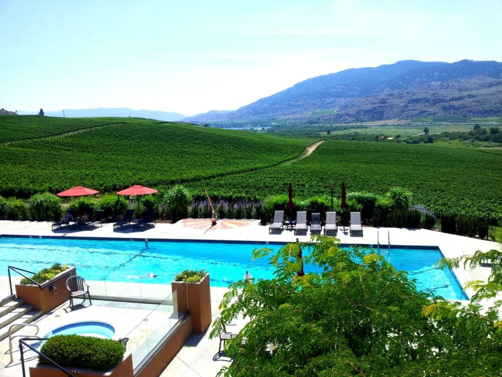 Swimming pool surrounded by vineyards at Burrowing Owl Estate Winery