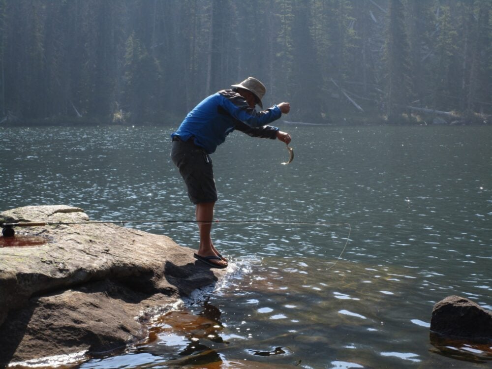 Catching a fish Cathedral Provincial Park