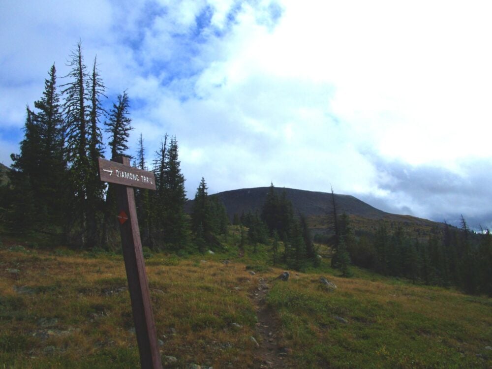 Diamond Trail Cathedral Provincial Park