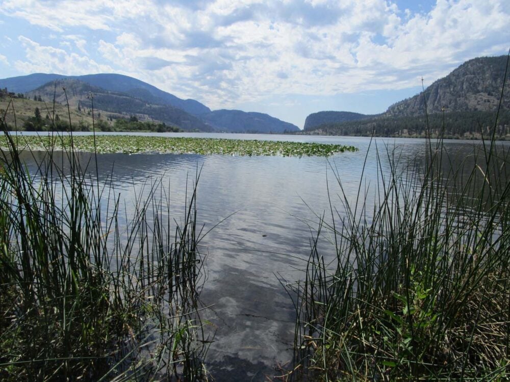 Legacy Landscapes - Vaseux Lake - The Nature Trust of British Columbia