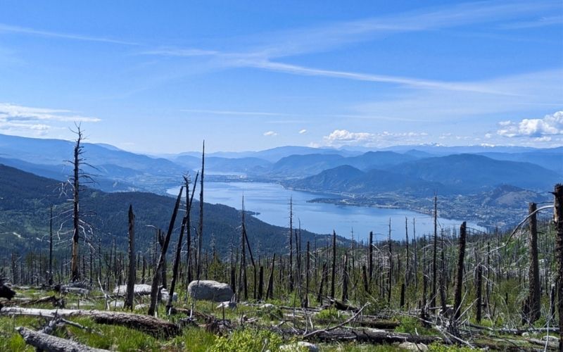 Okanagan Mountain Park: A Complete Hiking and Paddling Guide