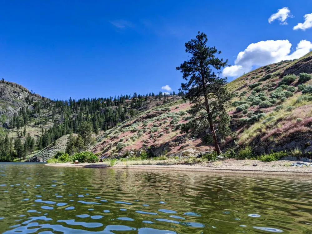 Looking across calm lake from kayak towards long golden beach with picnic table and fire ring, backed by a hill