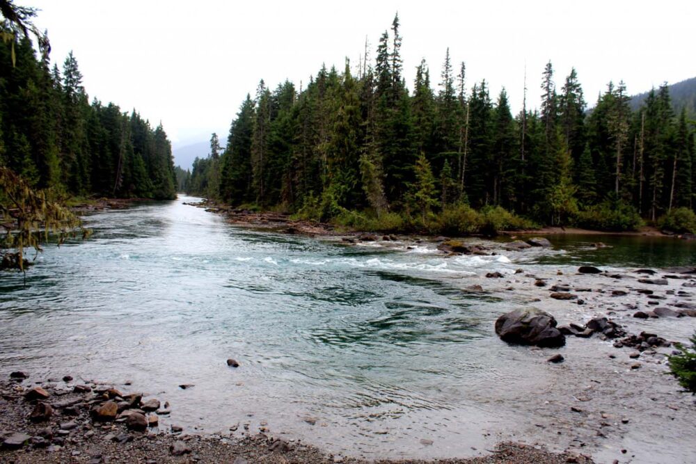 Fast moving water with rapids on river corner on Bowron Lakes Canoe Circuit