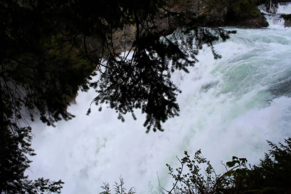 Looking through the trees to Cariboo Falls, a raging torrent of water