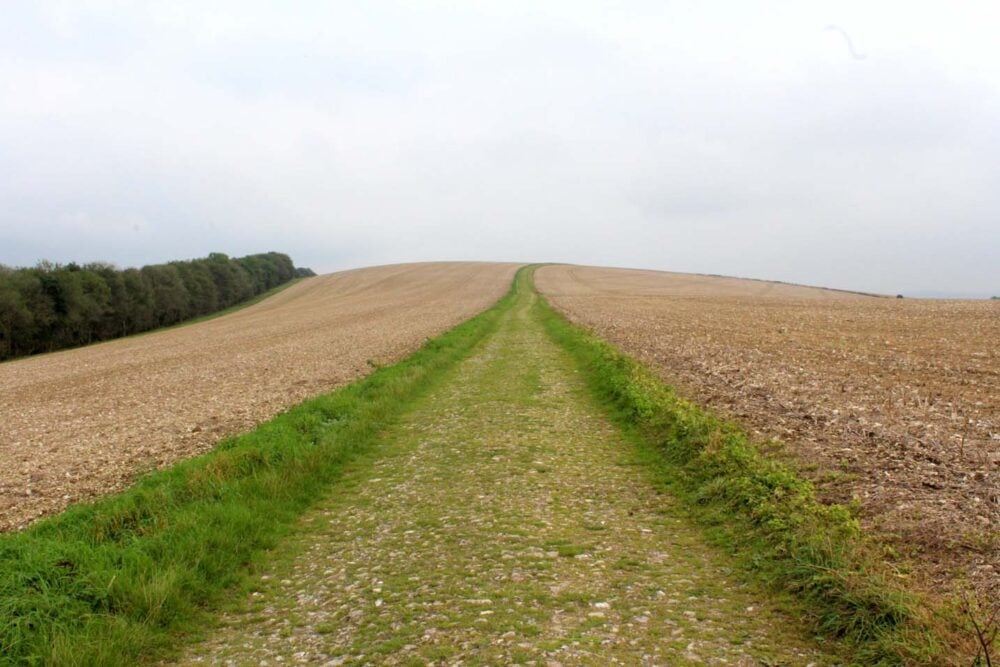 Straight rocky road leading into the distance