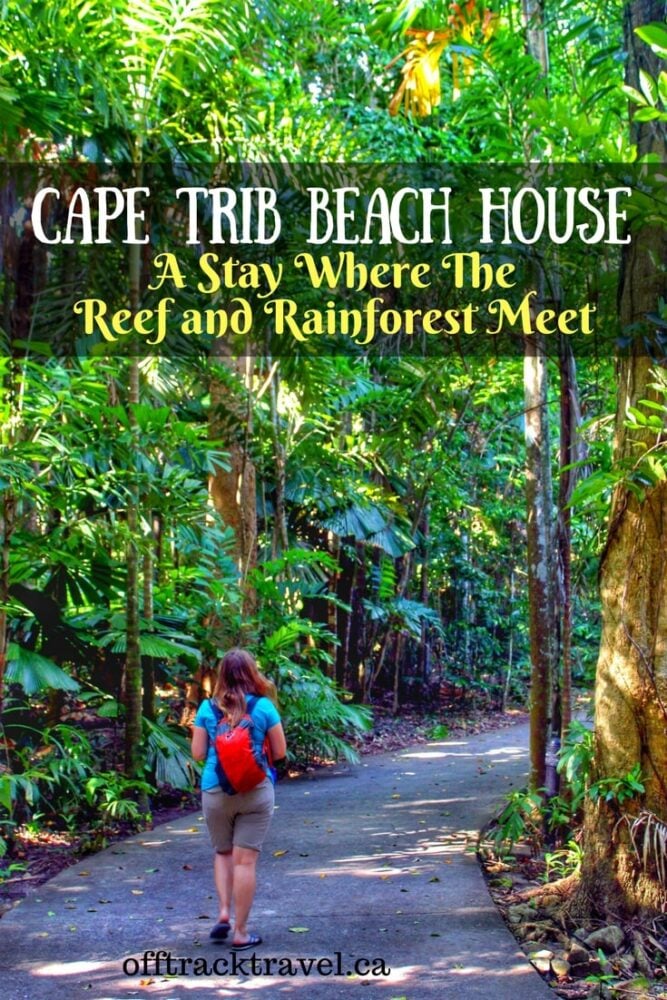 Cape Trib Beach House - A Stay Where the Reef and Rainforest Meet