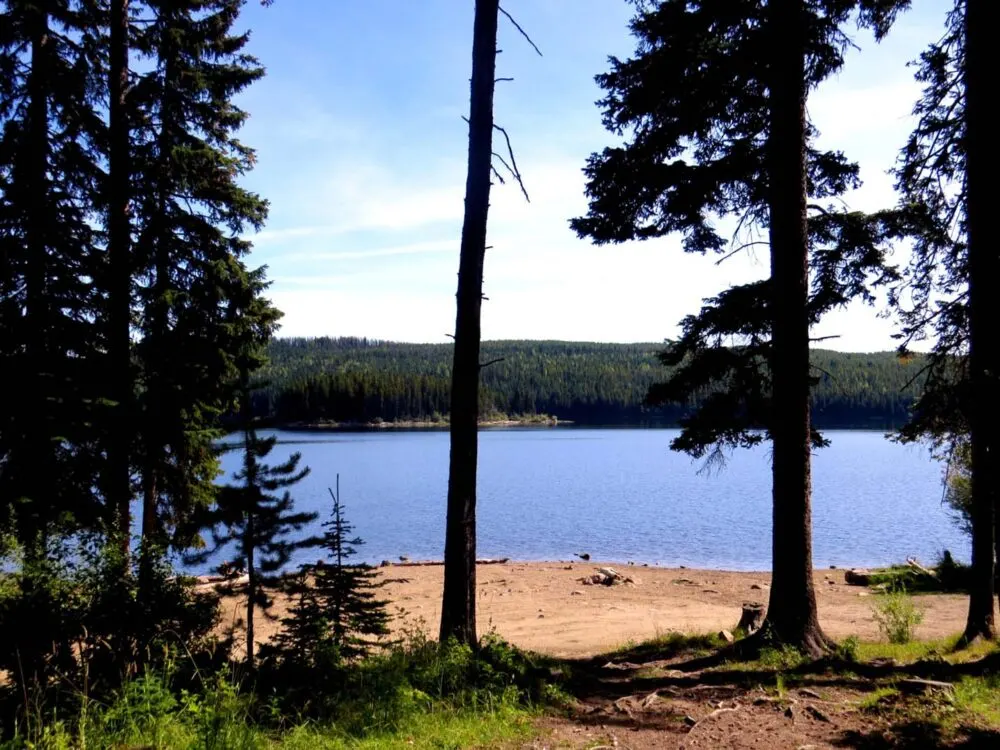 9 Awesome FREE Campsites in British Columbia - Swallwell Lake