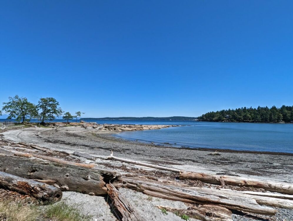 Looking across driftwood to sand and rock beach on Newcastle Island, with calm ocean and another forested island visible on the other side of the water