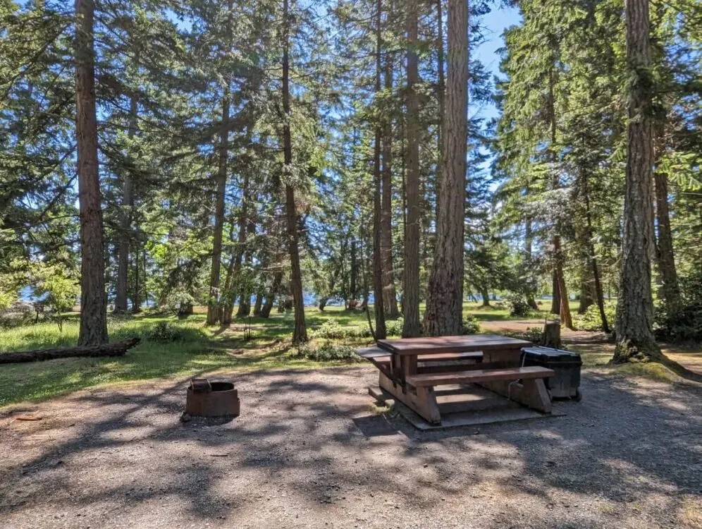 Picnic table, food locker and fire pit on cleared tent pad area in Newcastle island campground, with forest and glimpse of ocean in background