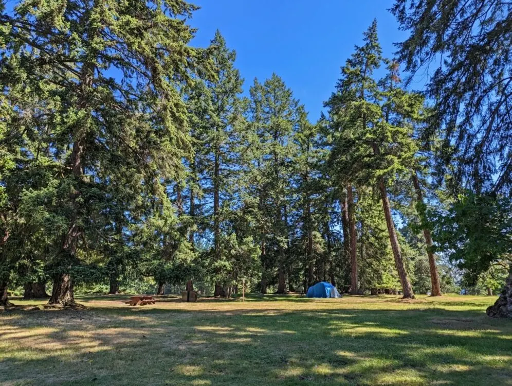 Open field space on Newcastle Island, one of five group campsite.s. There is one set up tent visible towards the back of the open area, surrounded by trees