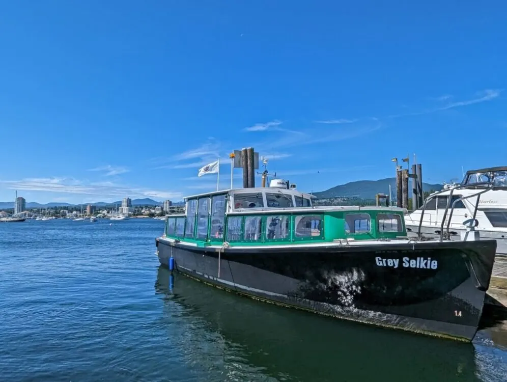 Close up of Newcastle Island ferry, a black and green boat on calm water next to the dock. The boat's name, Grey Selkie, is printed in white text on the right