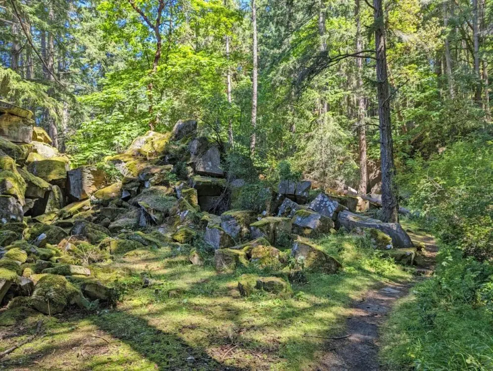 Narrow dirt path leading past pile of sandstone blocks in forest on Newcastle Island