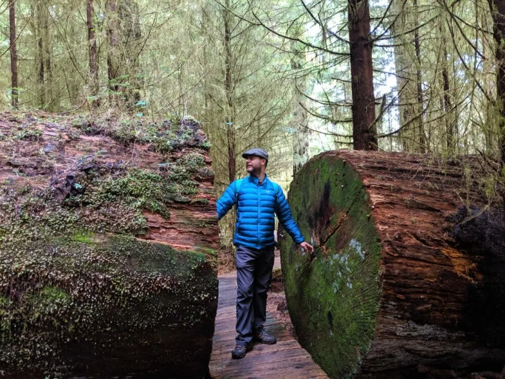 JR standing between two parts of a huge tree that fell on the trail. The tree has been chainsawed to provide a way through