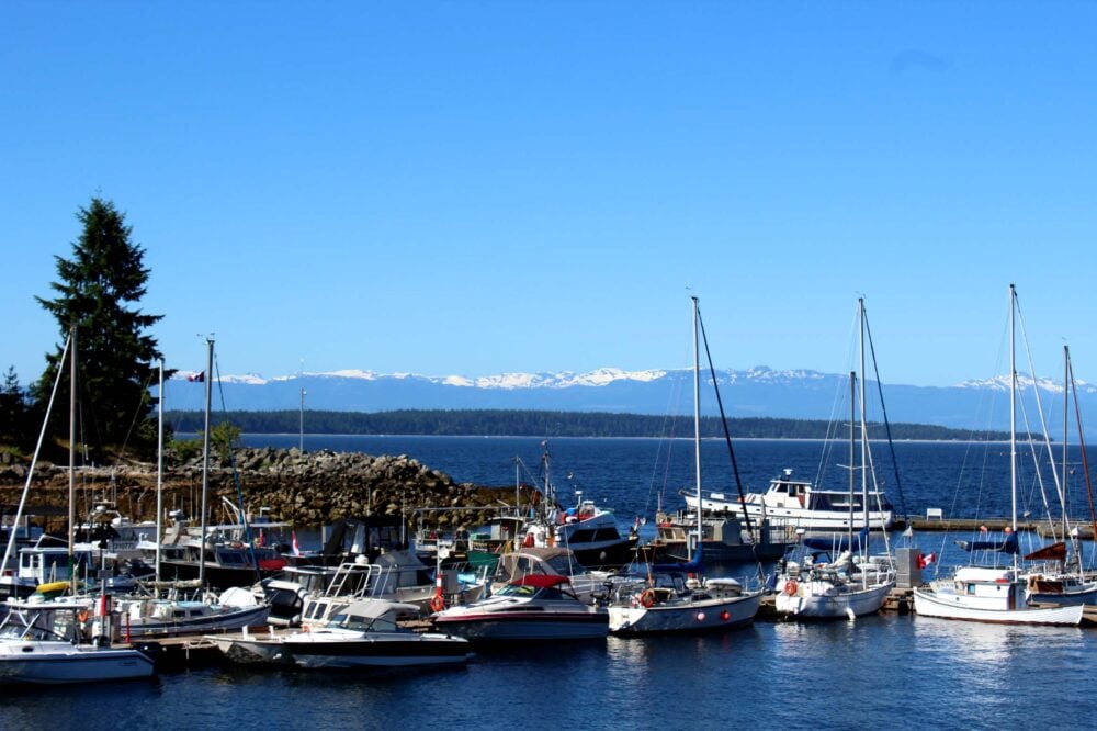 Lund Harbour on a sunny day, with pleasure boats in foreground, calm ocean behind and snow capped mountains in the distance