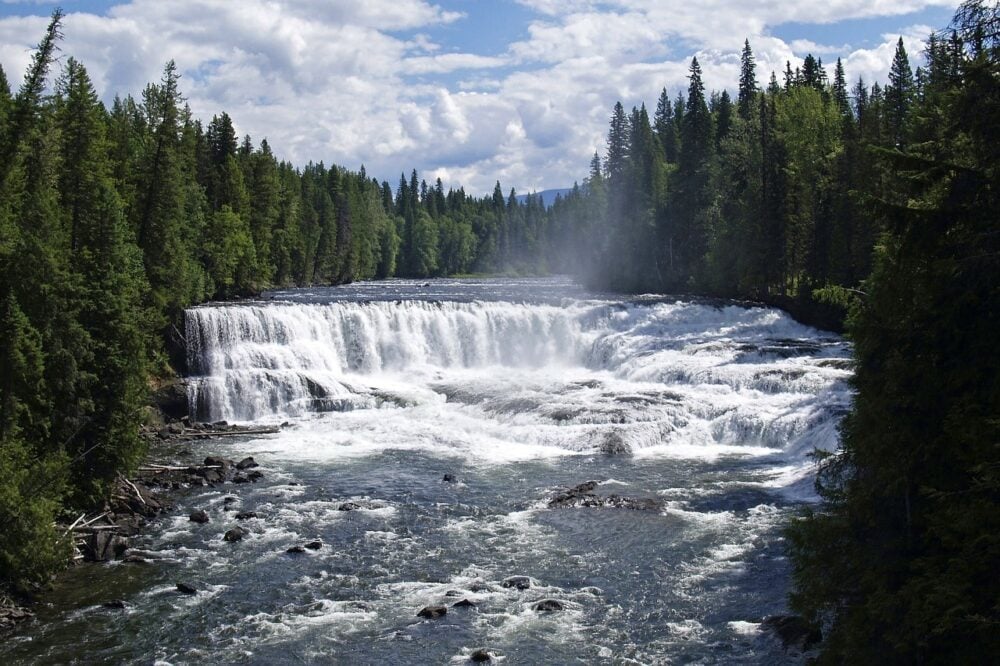 Front view of Dawson Falls, a wide cascading waterfall with multiple layers, bordered by forest on either side