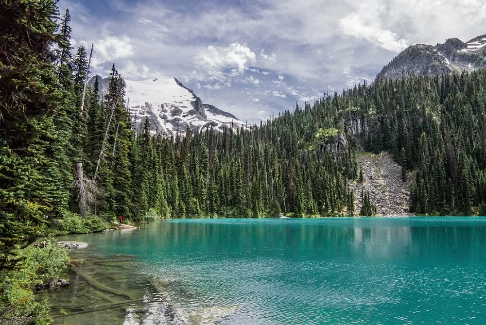 Shore view of turquoise coloured lake surrounded by dense forest and snowy mountain in background