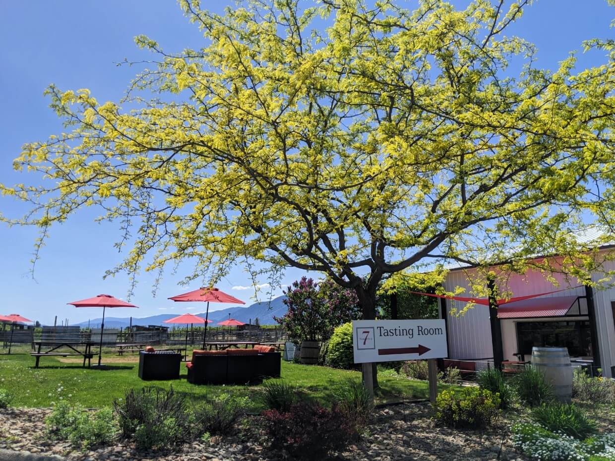 Exterior view of Township 7 Winery with lawn picnic area and warehouse tasting room on right