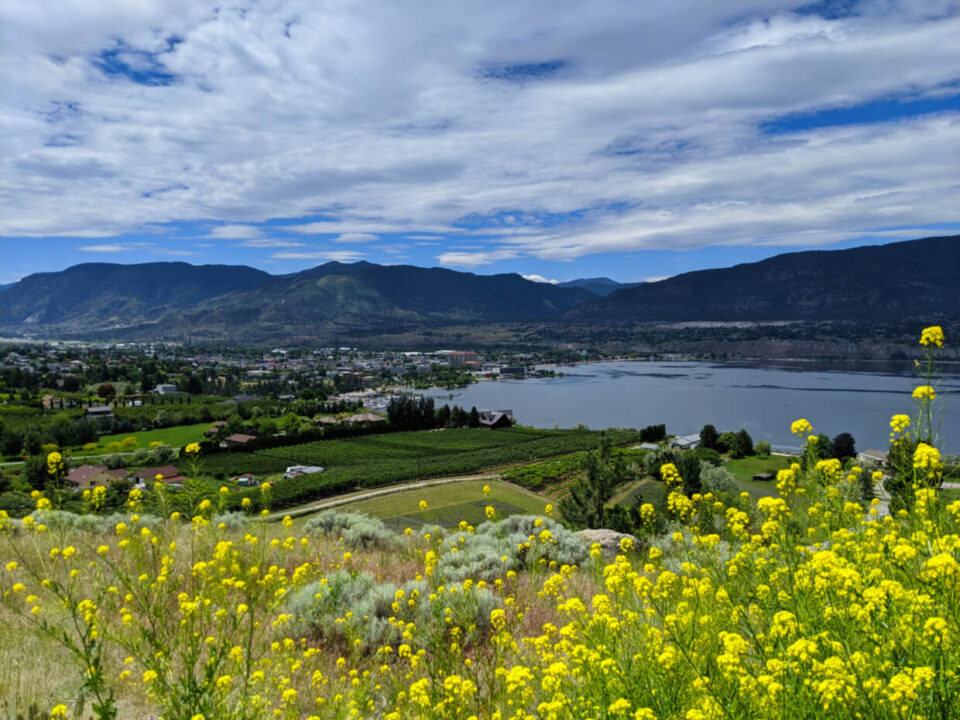 Spring in Canada: Things to Do, Where to Go and Essential Travel Advice
