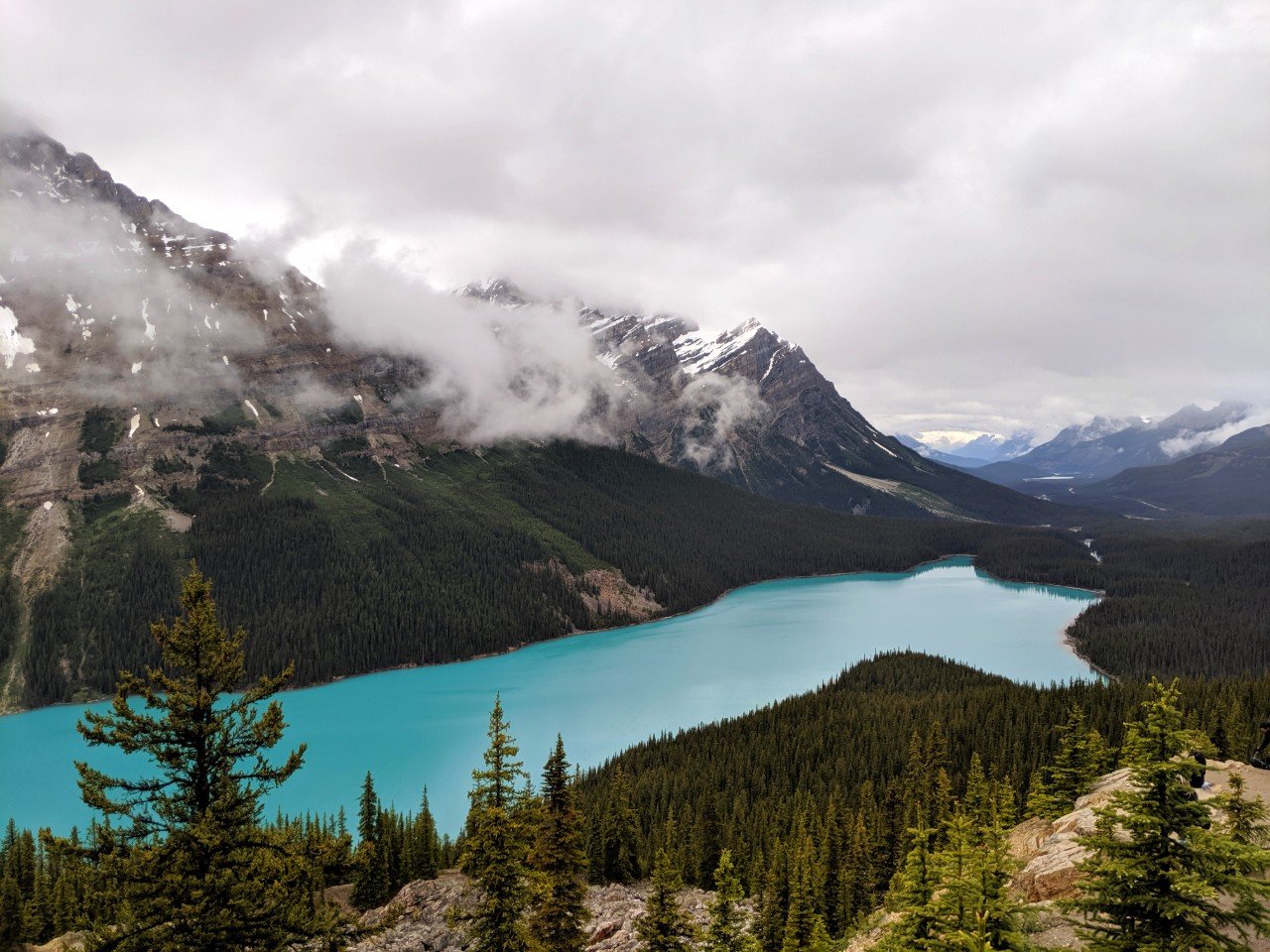 Elevated view looking down on turquoise coloured Peyto Lake, surrounded by mountains in Banff National Park