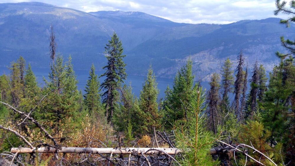 Looking over the trees down to Slocan Lake, surrounded by mountains