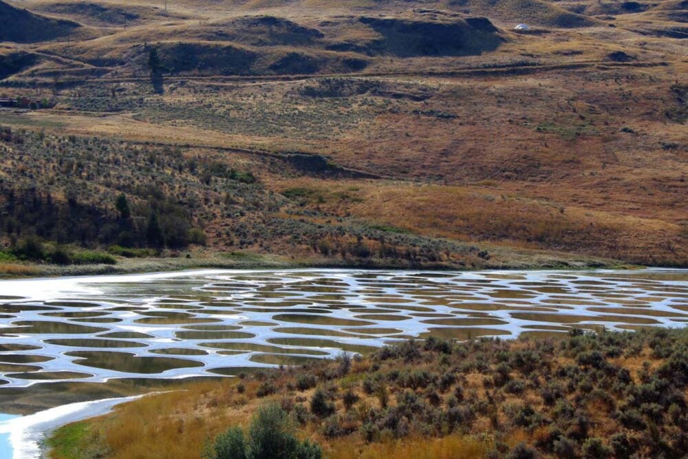 Saline alkali lake with multiple pools of water in parched landscape