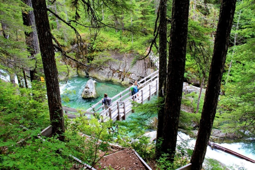 Looking down through the trees to three hikers standing on bridge above turquoise coloured river on Della Falls Trail