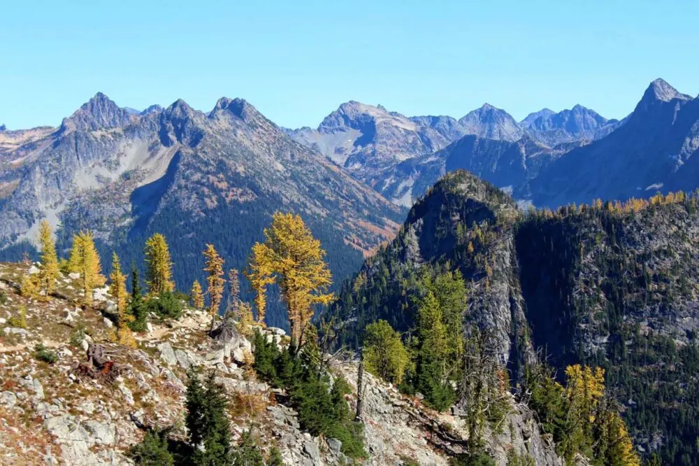 Mountains with larch trees
