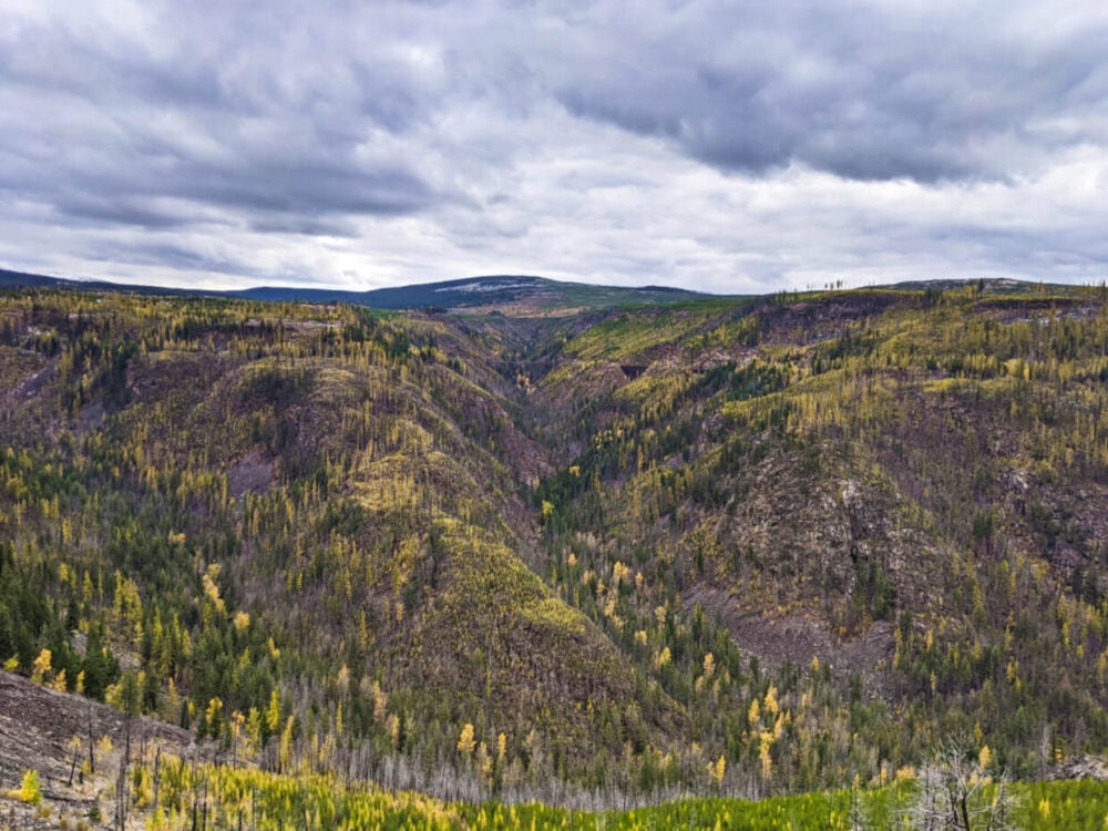 View across Myra Canyon to rugged slopes scattered with trees, ranging in colour from green to yellow