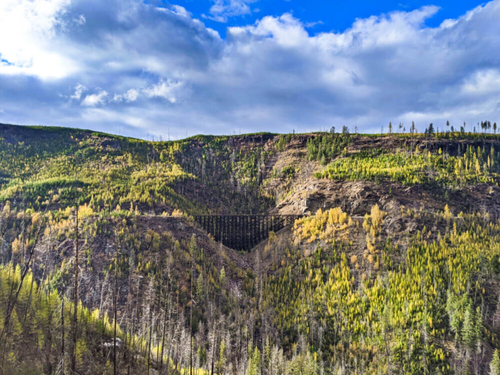 Looking across canyon to huge wooden trestle surrounded by autumn foliage, including golden larch trees