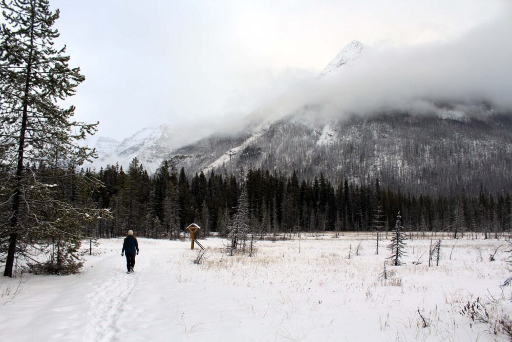 7 Reasons Why You Should Go on a Winter Road Trip in Canada