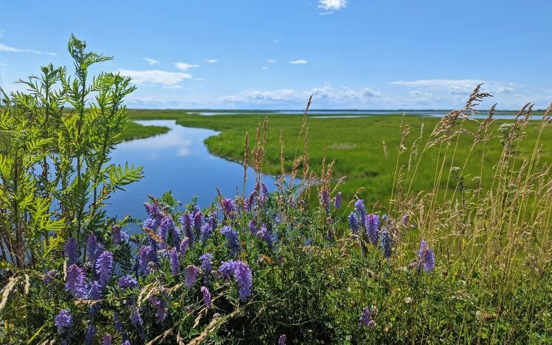 10 Amazing Places to Visit in Eastern Canada