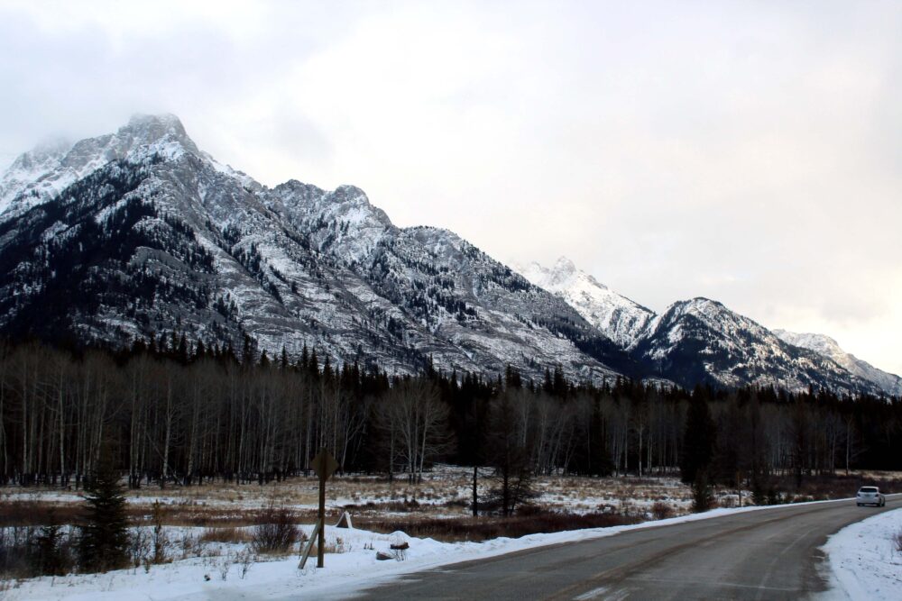 Unmissable Stops on a Canadian Rockies Road Trip: Banff Parkway