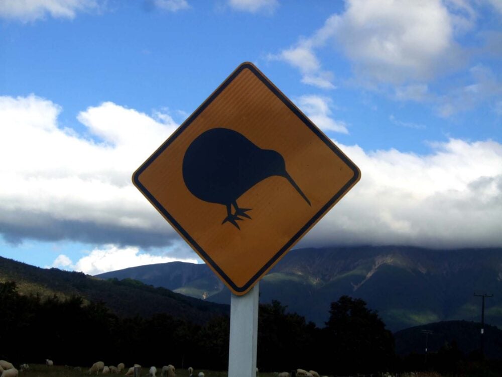 Road sign warning of kiwi birds