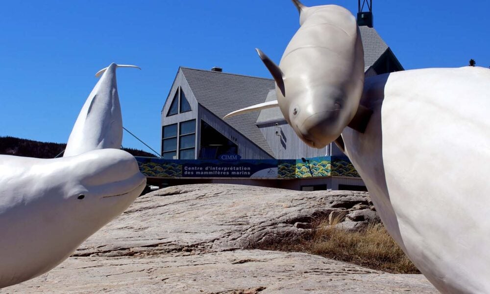 Whale sculptures outside of the Marine Mammal Interpretation Centre in Tadoussac, Quebec