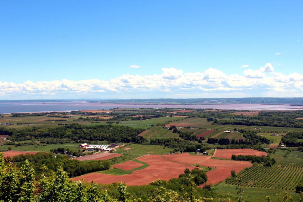 Looking across farming landscape from the Look-Off viewpoint, one of the best things to do in Wolfville